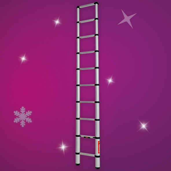 3M TELESCOPIC LADDER