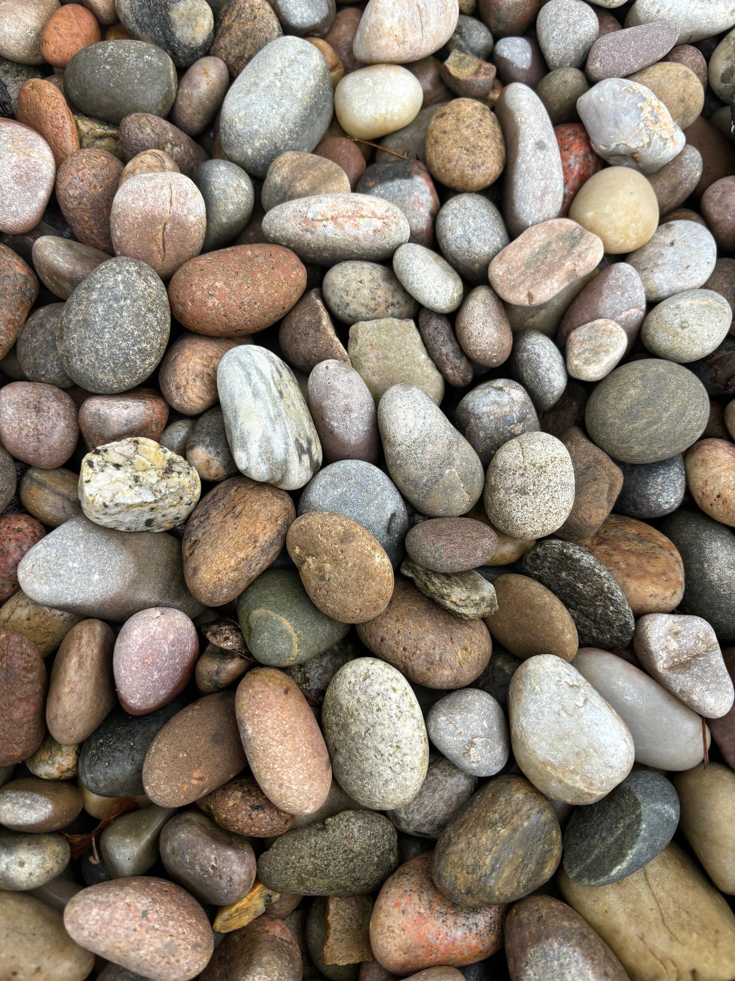 Jumbo Bag Scottish Beach Pebbles 20-30mm