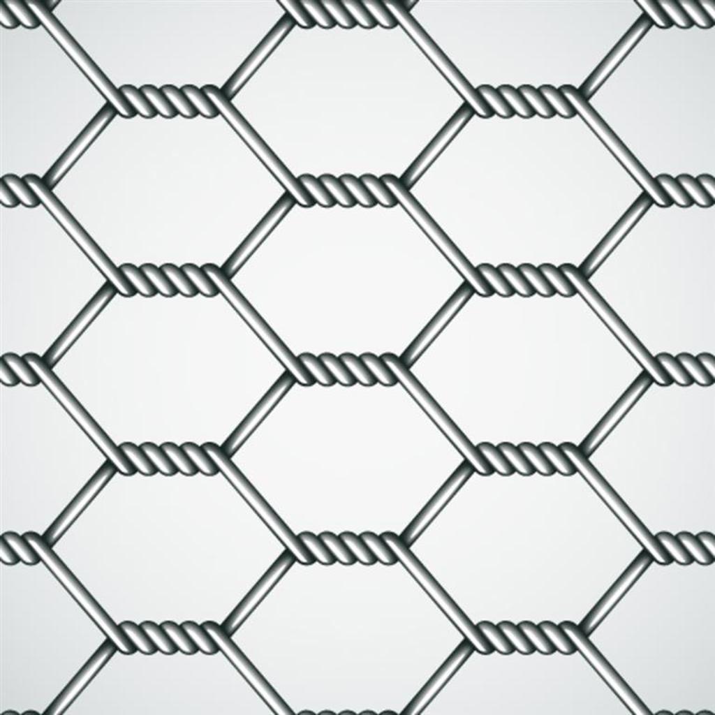 10mt Roll Chicken Wire (Netting)