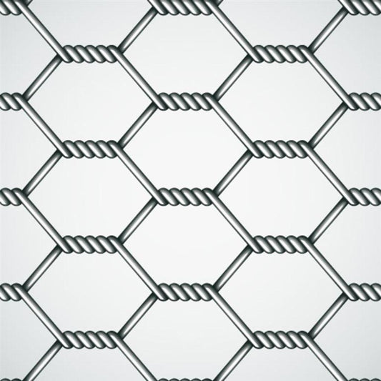 10mt Roll Chicken Wire (Netting)